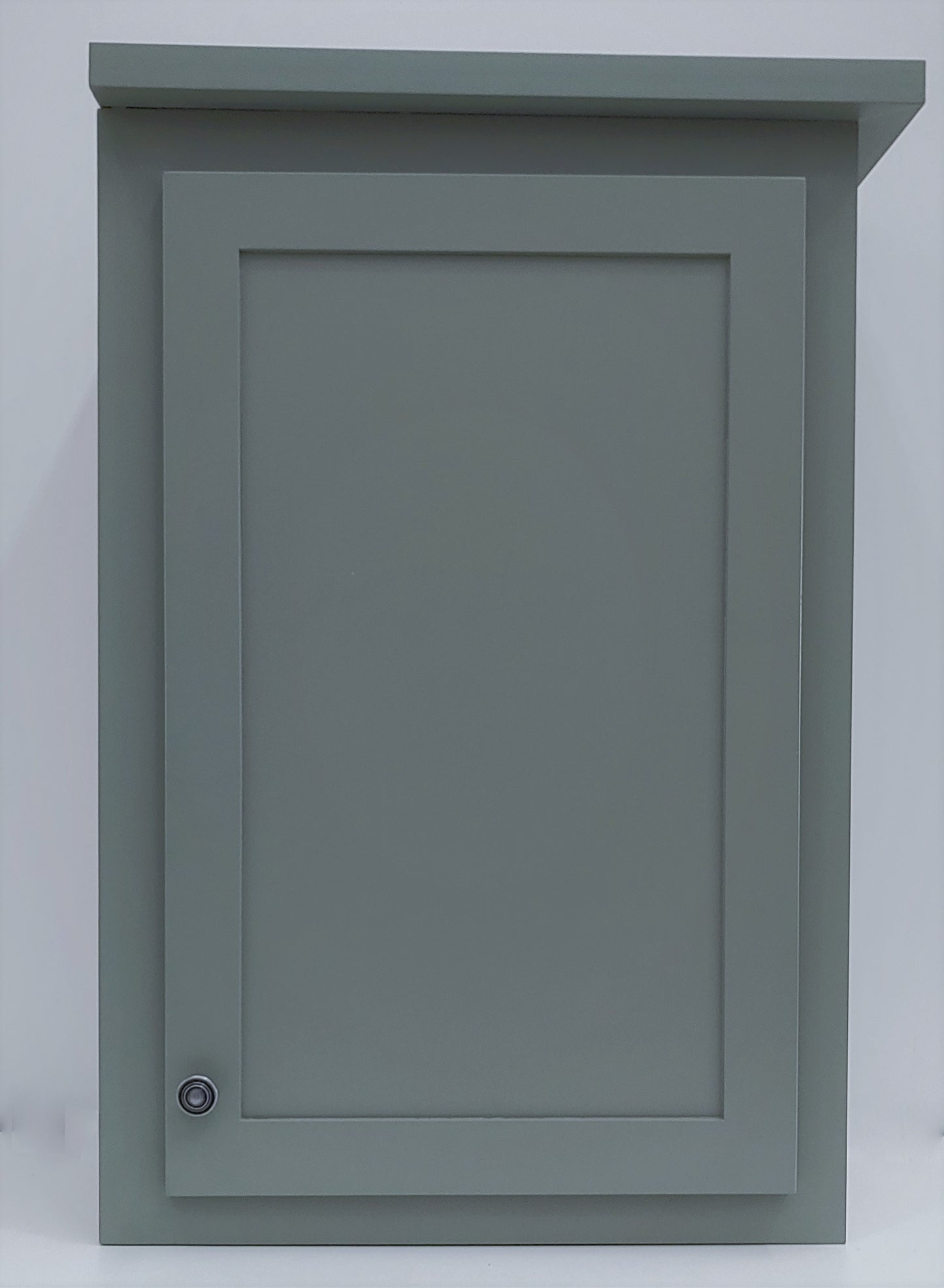 PhilosophyGreenSingleShakerDoorWallCabinet