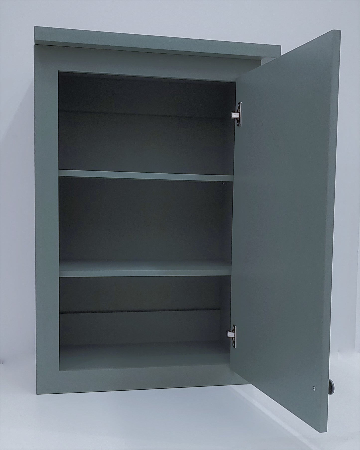 PhilosophyGreenSingleShakerDoorWallCabinetOpen