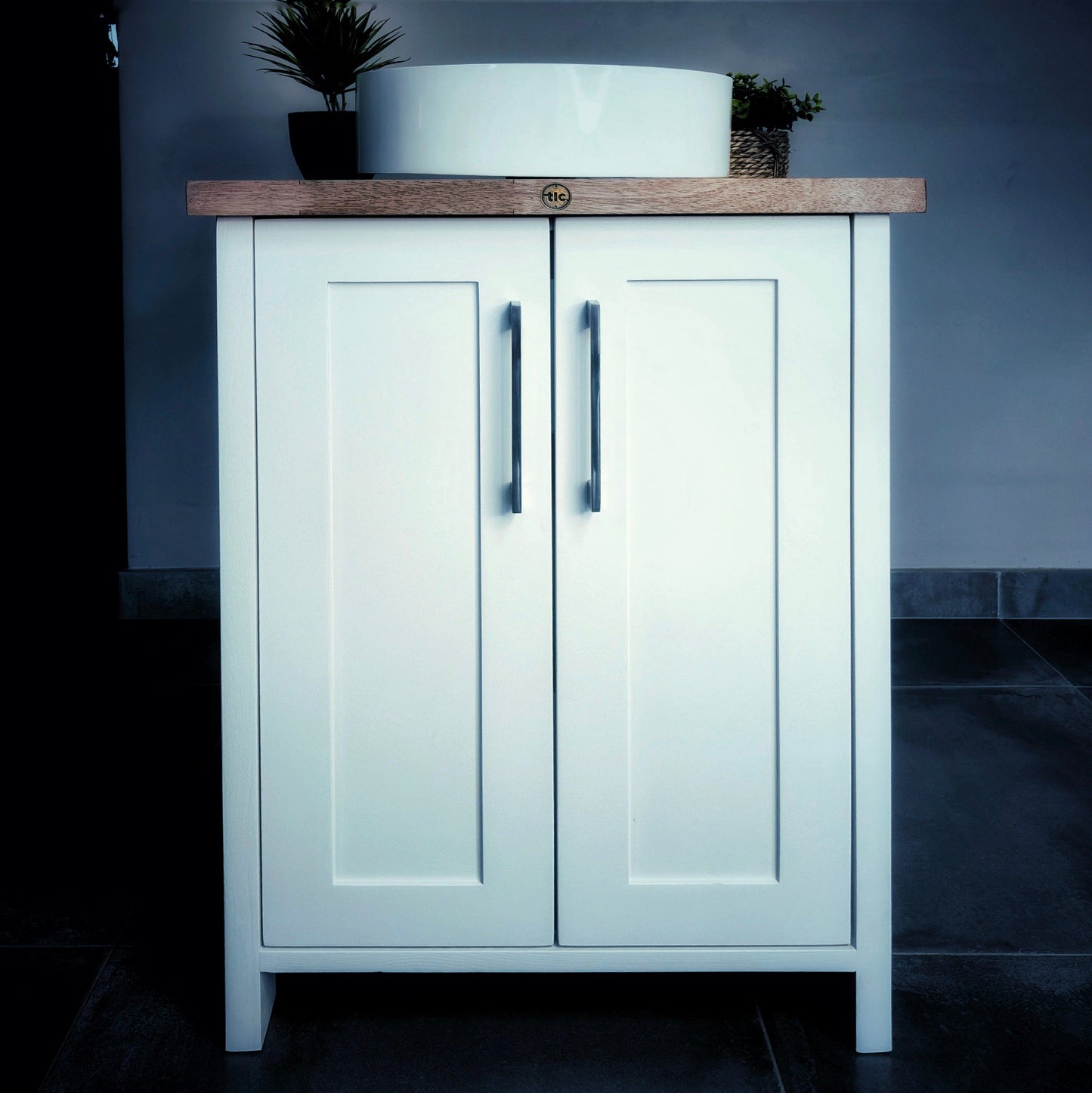 TLC-Double-Door-Vanity-Cabinet-12.jpg