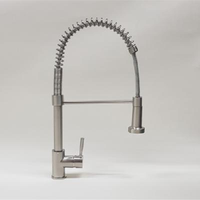 Kitchen Spring Mixer